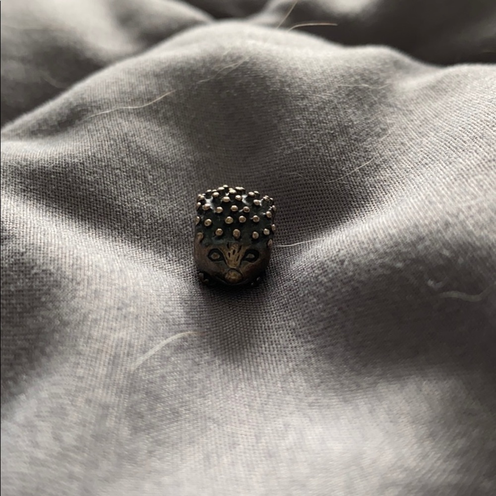 Pandora charm